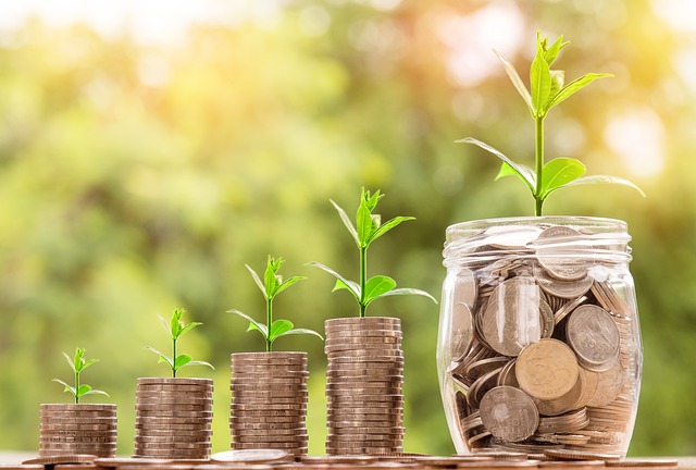 Small plants raising from stacks of coins