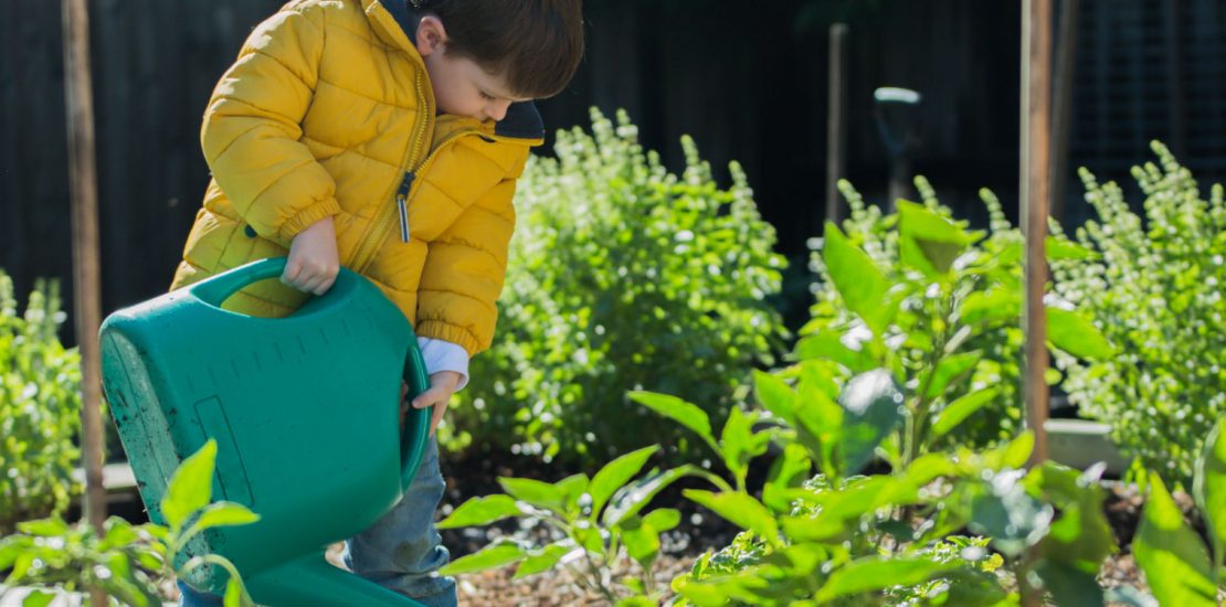 Property Gardening