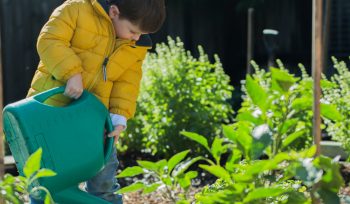 Property Gardening